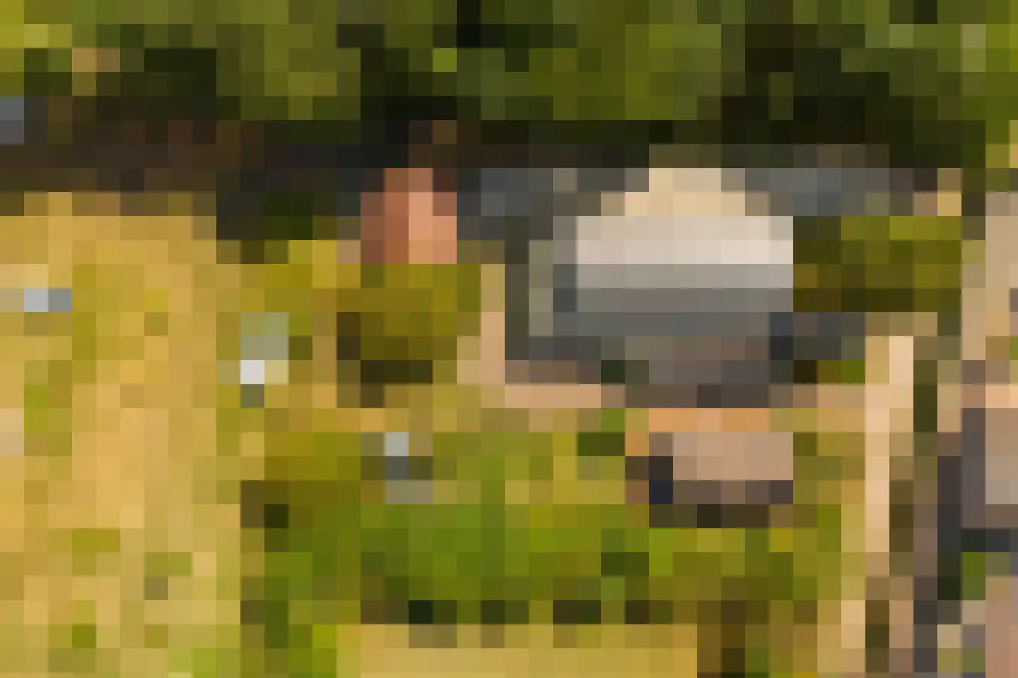Vlasweg 3 Swolgen thumbnail 30