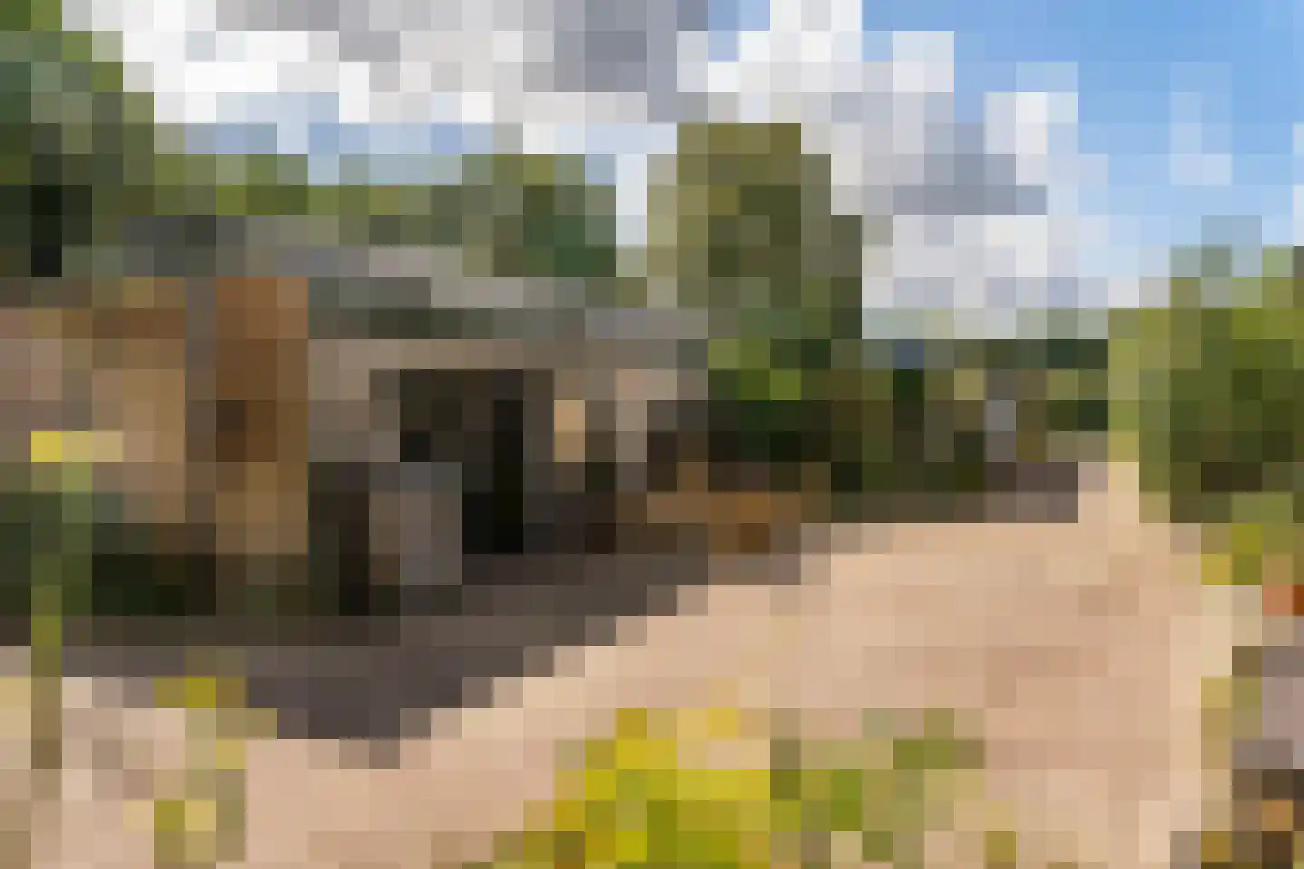 Vlasweg 3 Swolgen thumbnail 32