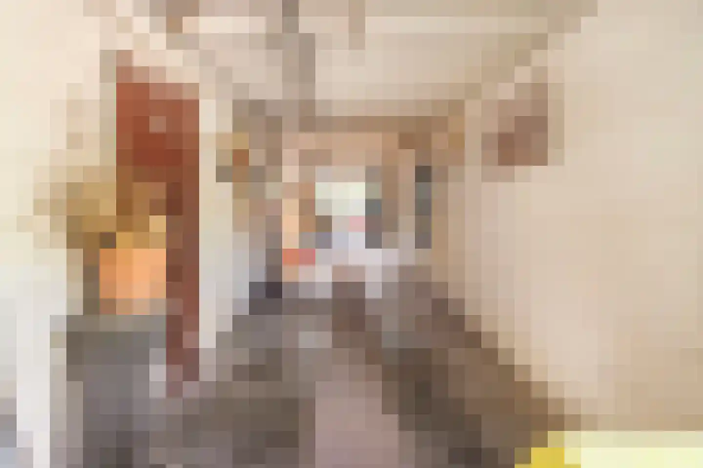 Vlasweg 3 Swolgen thumbnail 33