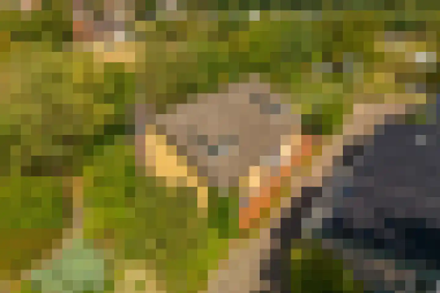 Vlasweg 3 Swolgen thumbnail 4