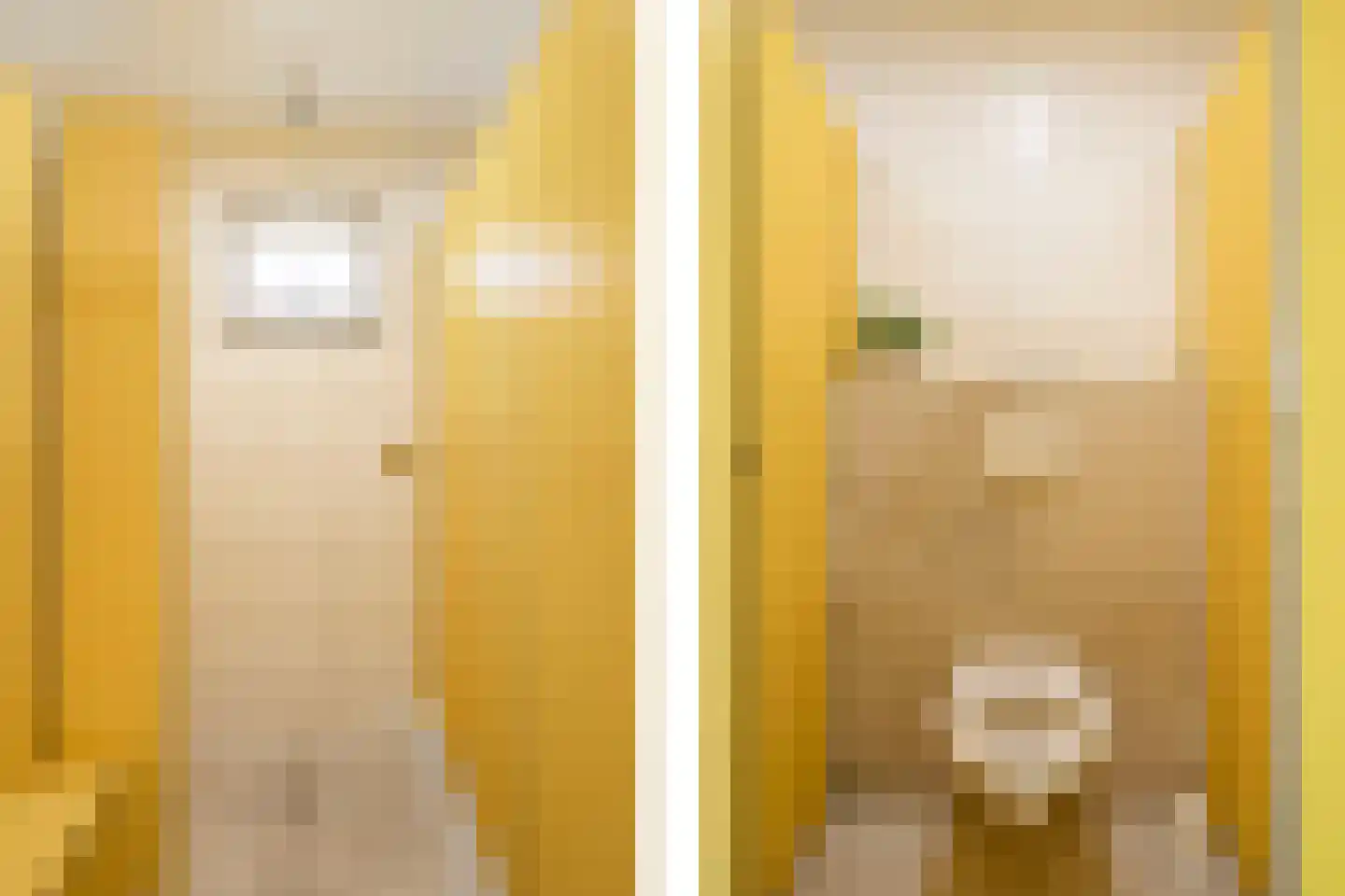 Vlasweg 3 Swolgen thumbnail 49