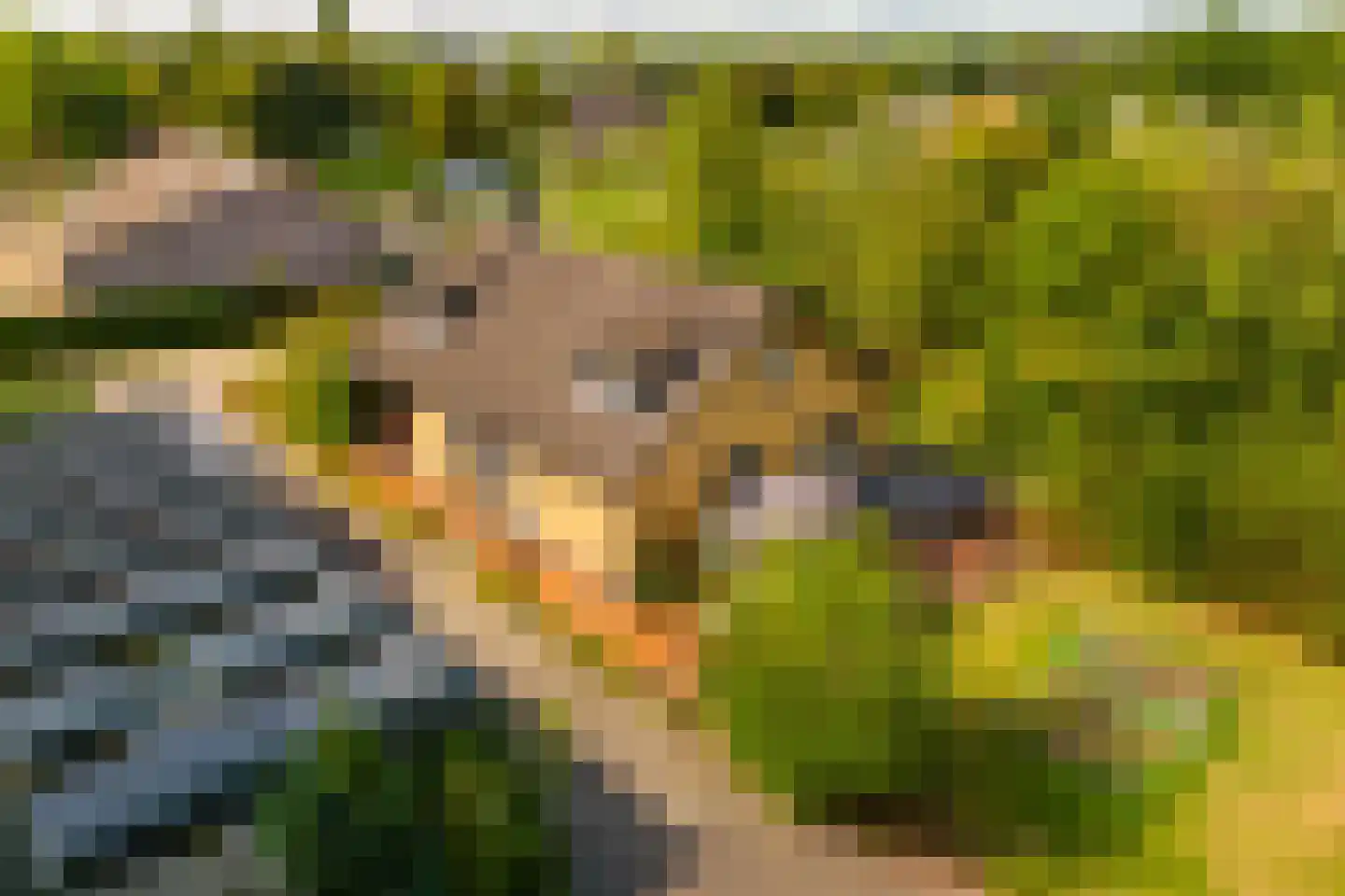 Vlasweg 3 Swolgen thumbnail 5