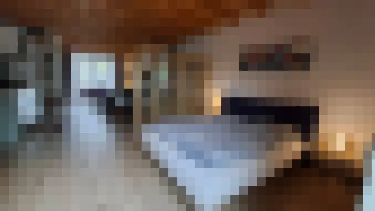 Vlasweg 3 Swolgen thumbnail 52