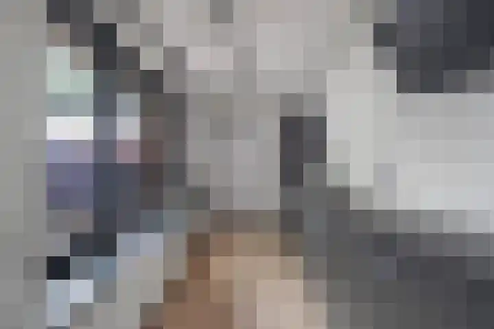 Vlaswiek 10 Giessen thumbnail 14