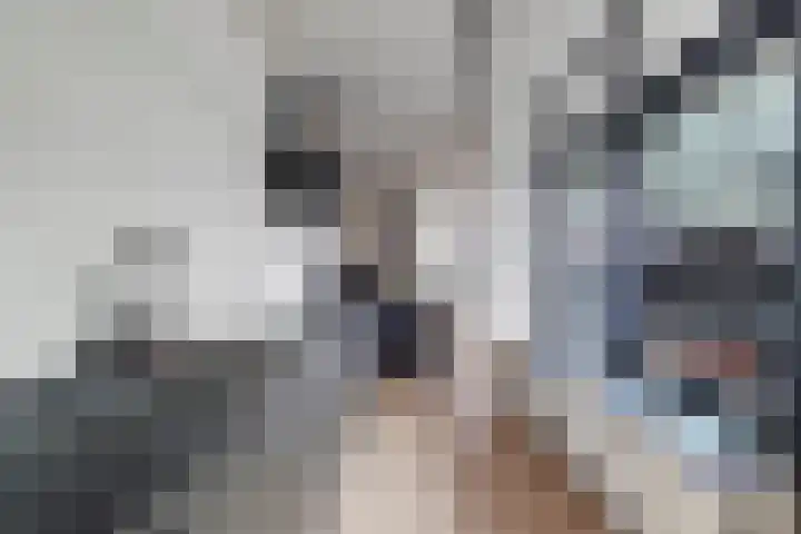 Vlaswiek 10 Giessen thumbnail 16