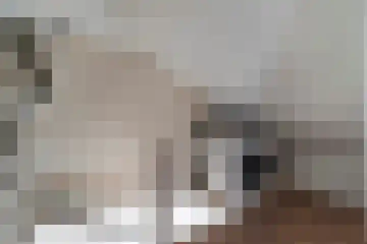 Vlaswiek 10 Giessen thumbnail 28