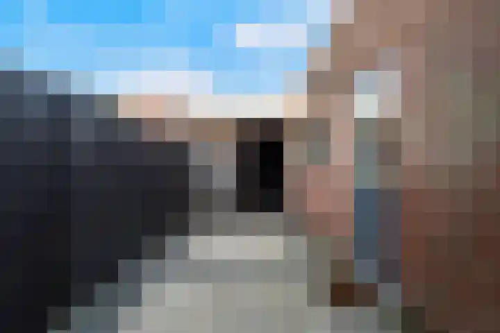 Vlaswiek 10 Giessen thumbnail 34