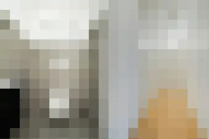 Vlaszak 11 Breda thumbnail 11