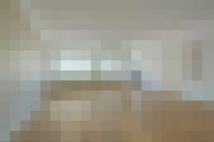 Vlaszak 11 Breda foto 2