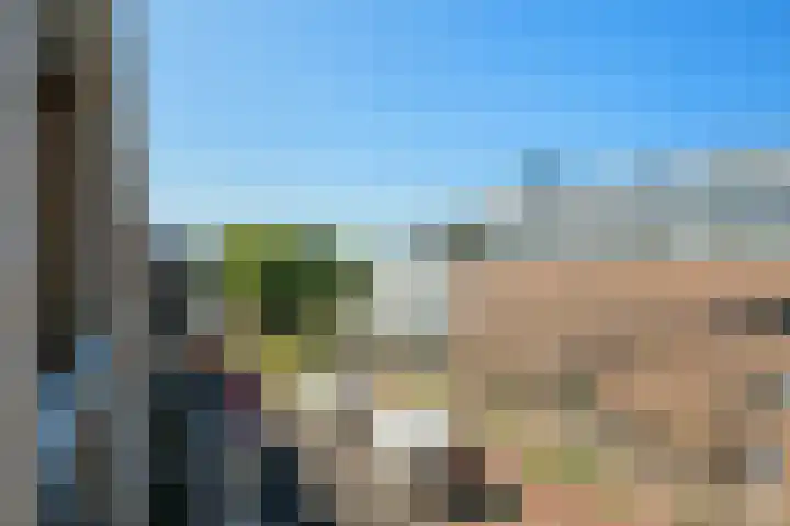 Vlaszak 11 Breda thumbnail 21