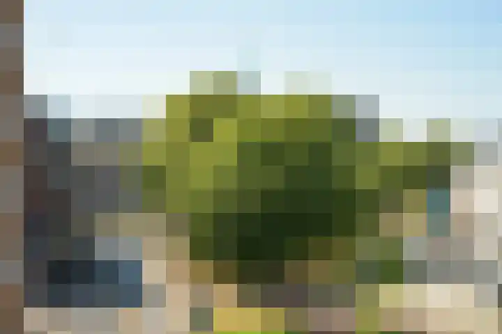 Vlaszak 11 Breda thumbnail 25