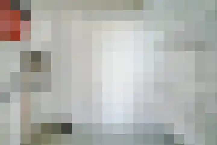 Vlaszak 11 Breda thumbnail 29