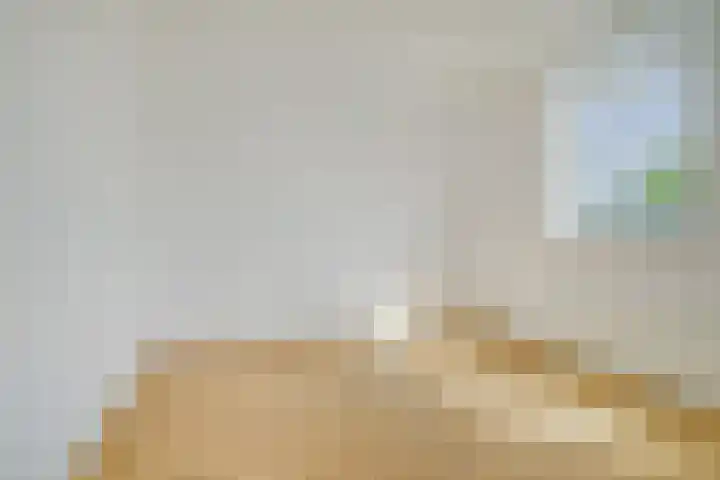 Vlaszak 11 Breda thumbnail 34