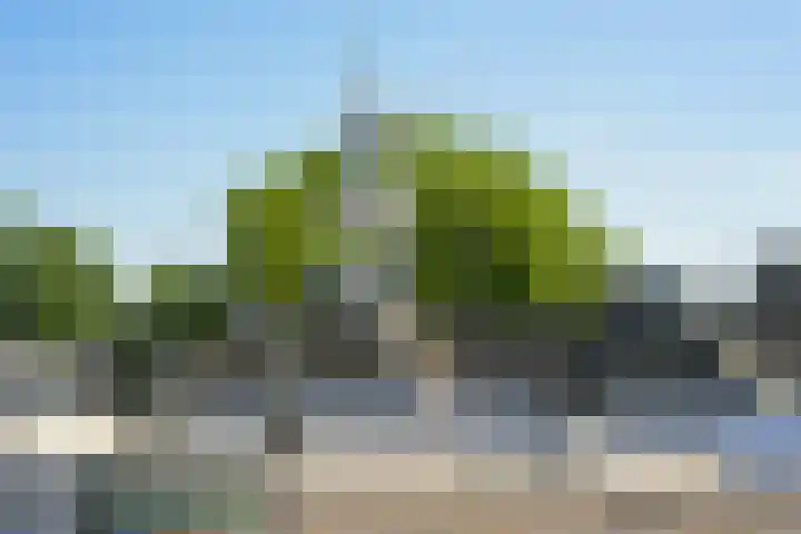 Vlaszak 11 Breda thumbnail 38