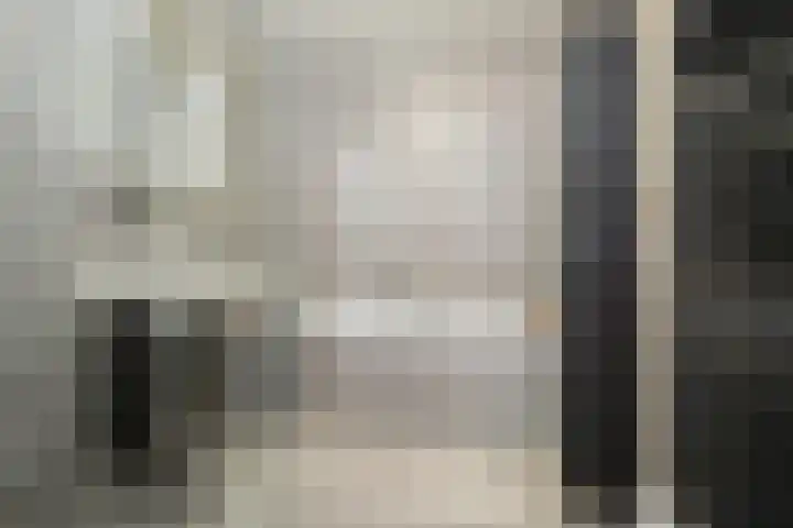Vlaszak 11 Breda thumbnail 39