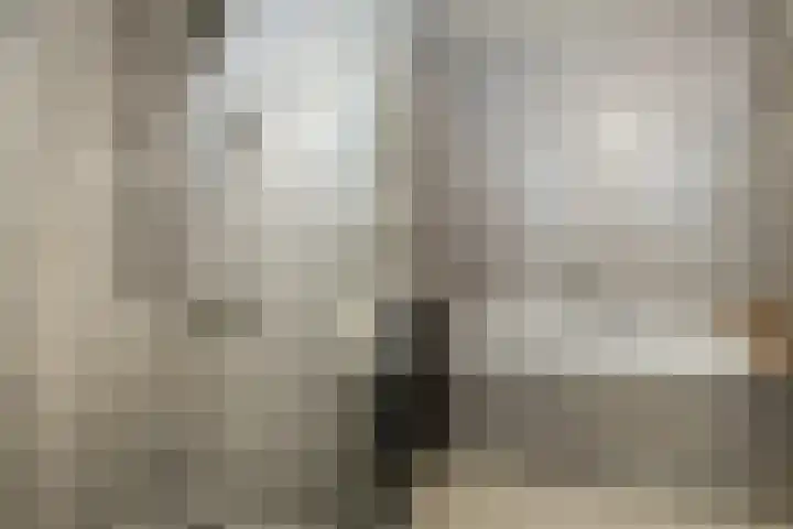 Vlaszak 11 Breda thumbnail 42