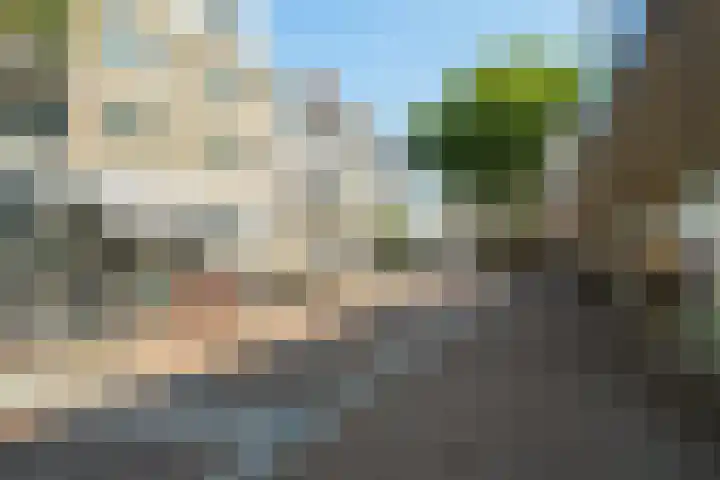 Vlaszak 11 Breda thumbnail 48
