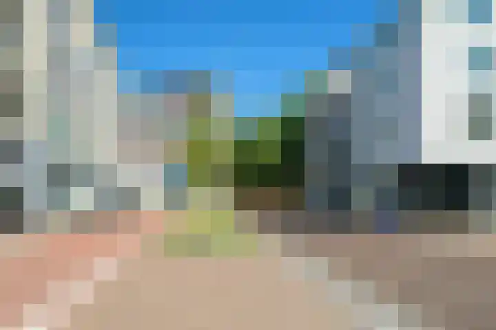 Vlaszak 11 Breda thumbnail 49