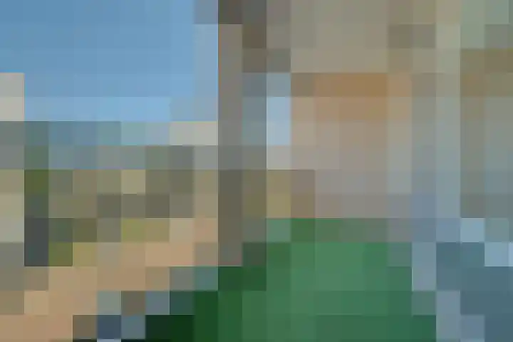 Vlaszak 11 Breda thumbnail 5