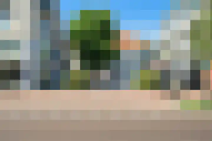 Vlaszak 11 Breda thumbnail 50