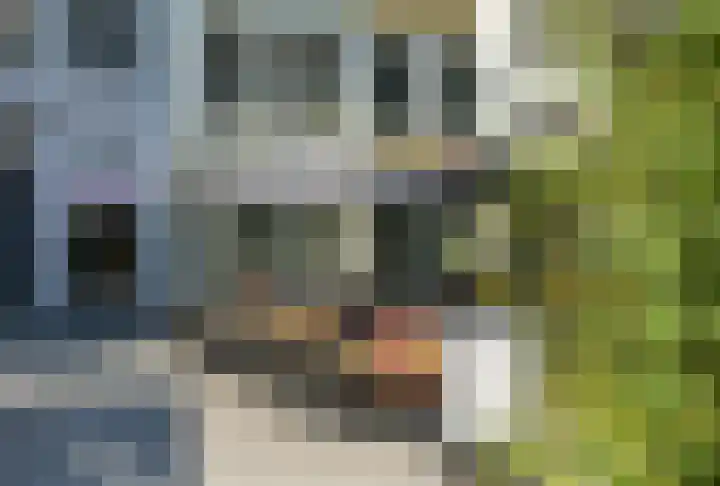 Vlaszak 11 Breda thumbnail 52