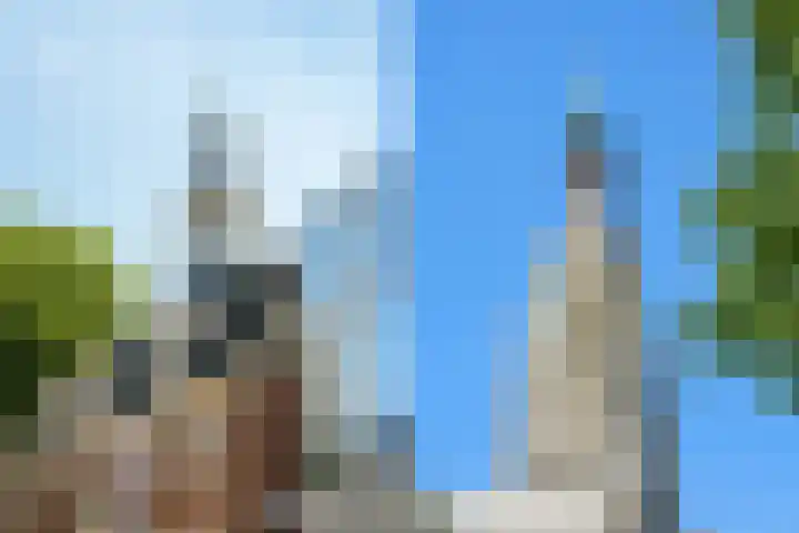 Vlaszak 11 Breda thumbnail 53
