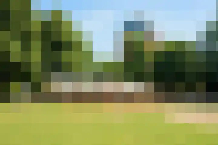 Vlaszak 11 Breda thumbnail 56