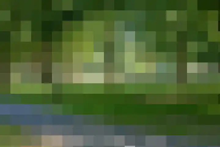 Vlaszak 11 Breda thumbnail 57