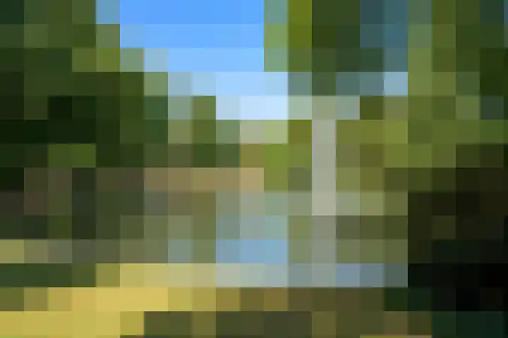 Vlaszak 11 Breda thumbnail 58