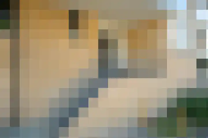Vlaszak 11 Breda thumbnail 8