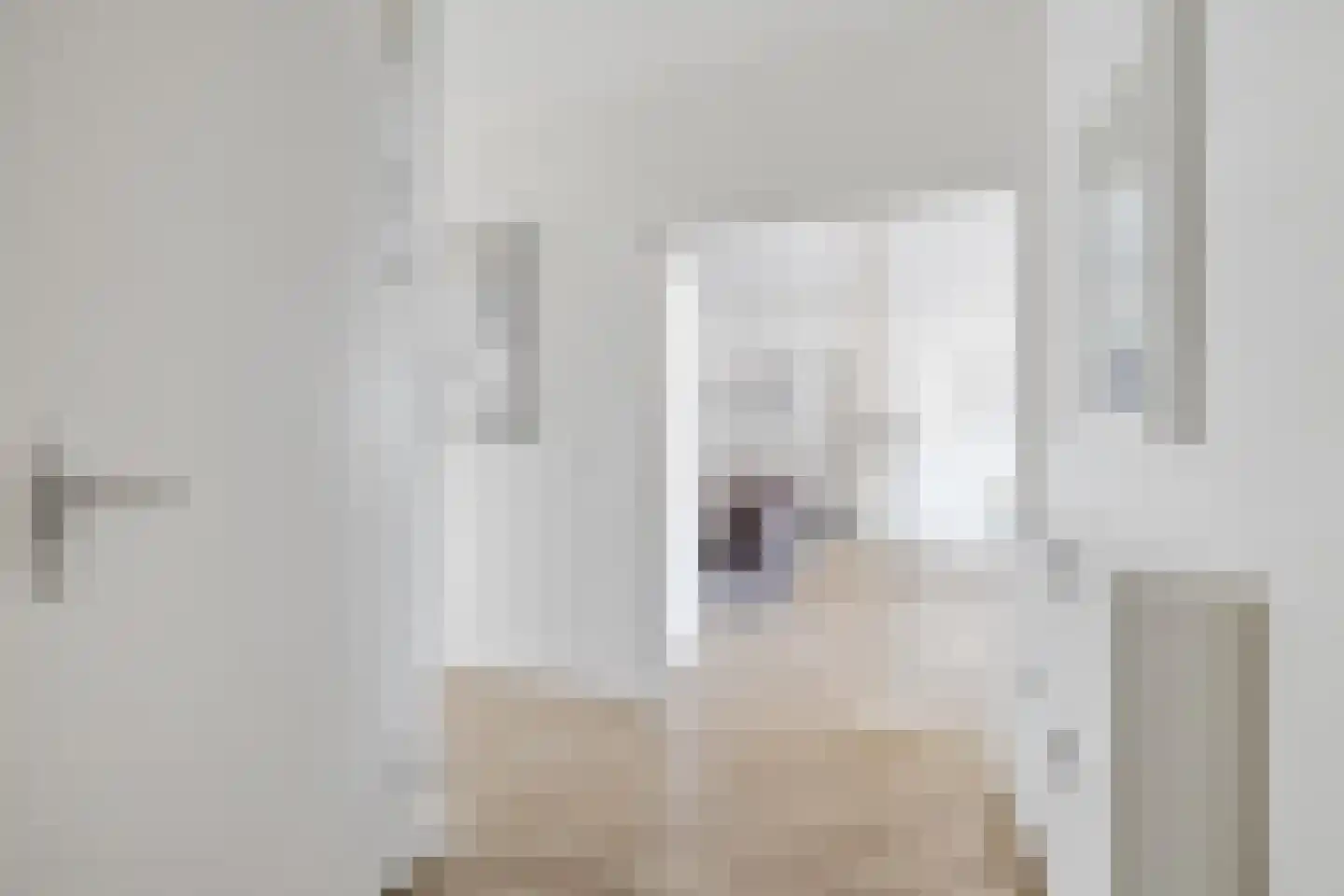 Vlaszak 23 Breda thumbnail 16