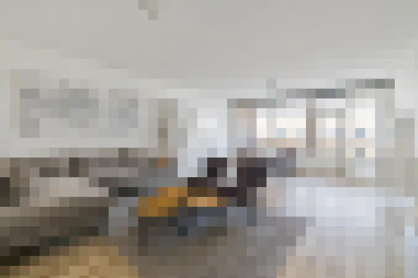 Vlaszak 23 Breda foto 2