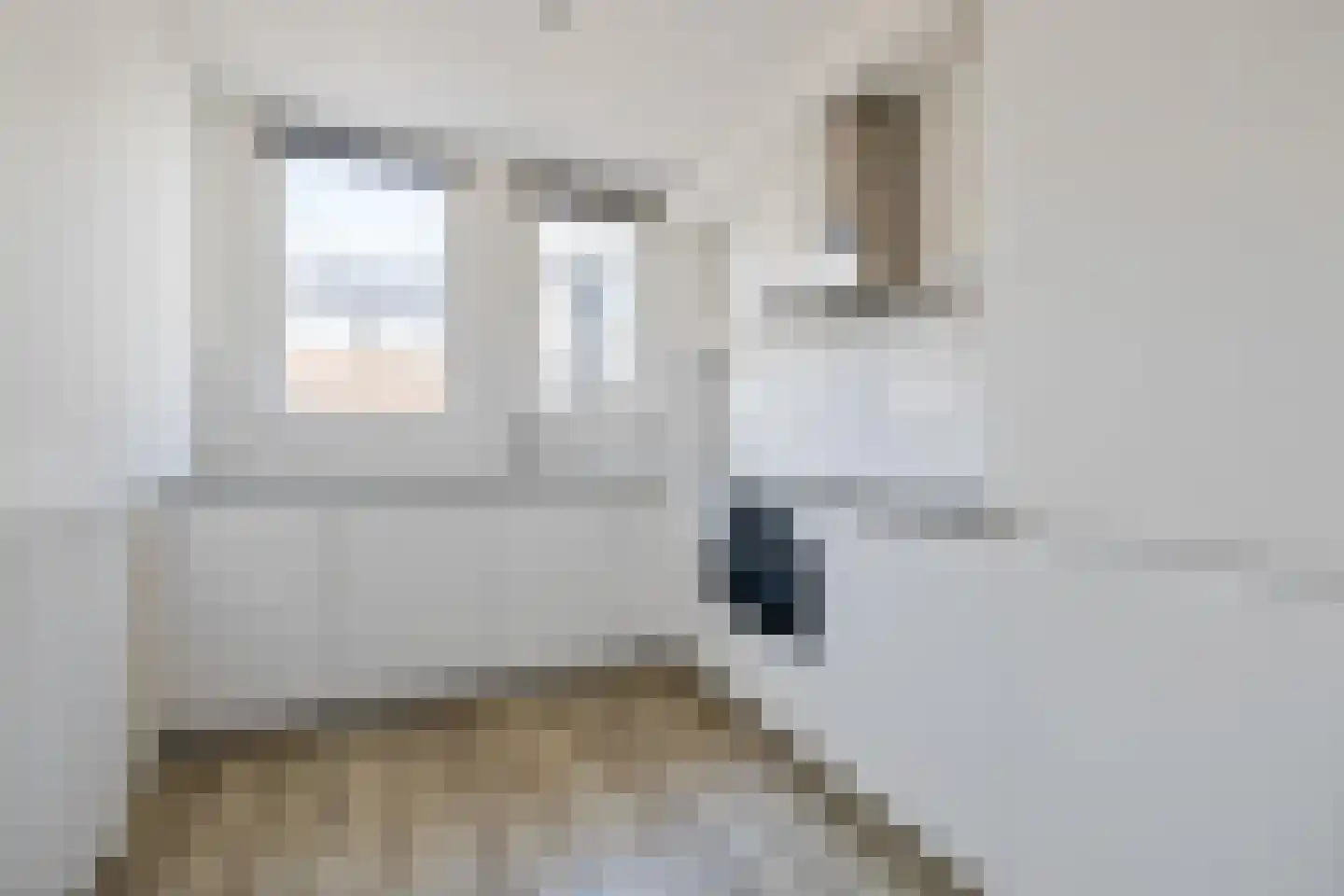 Vlaszak 23 Breda thumbnail 33