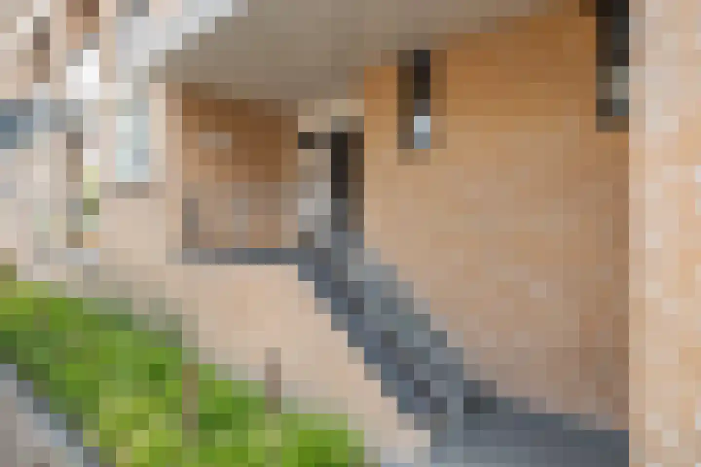 Vlaszak 23 Breda thumbnail 9