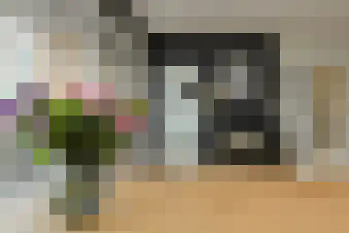 Vlaszak 39 Breda thumbnail 14
