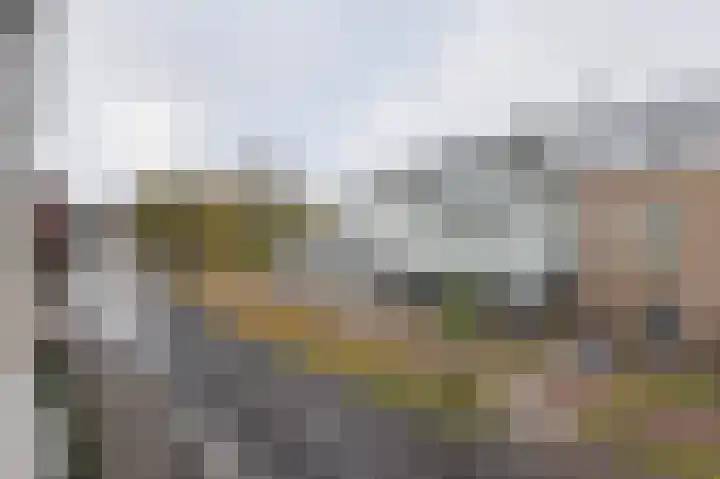 Vlaszak 39 Breda thumbnail 22
