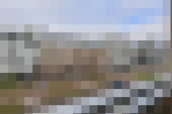 Vlaszak 39 Breda thumbnail 23