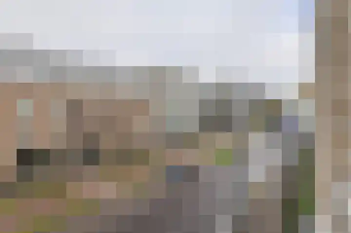 Vlaszak 39 Breda thumbnail 24