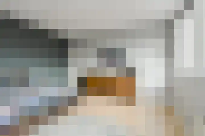 Vlaszak 39 Breda thumbnail 30