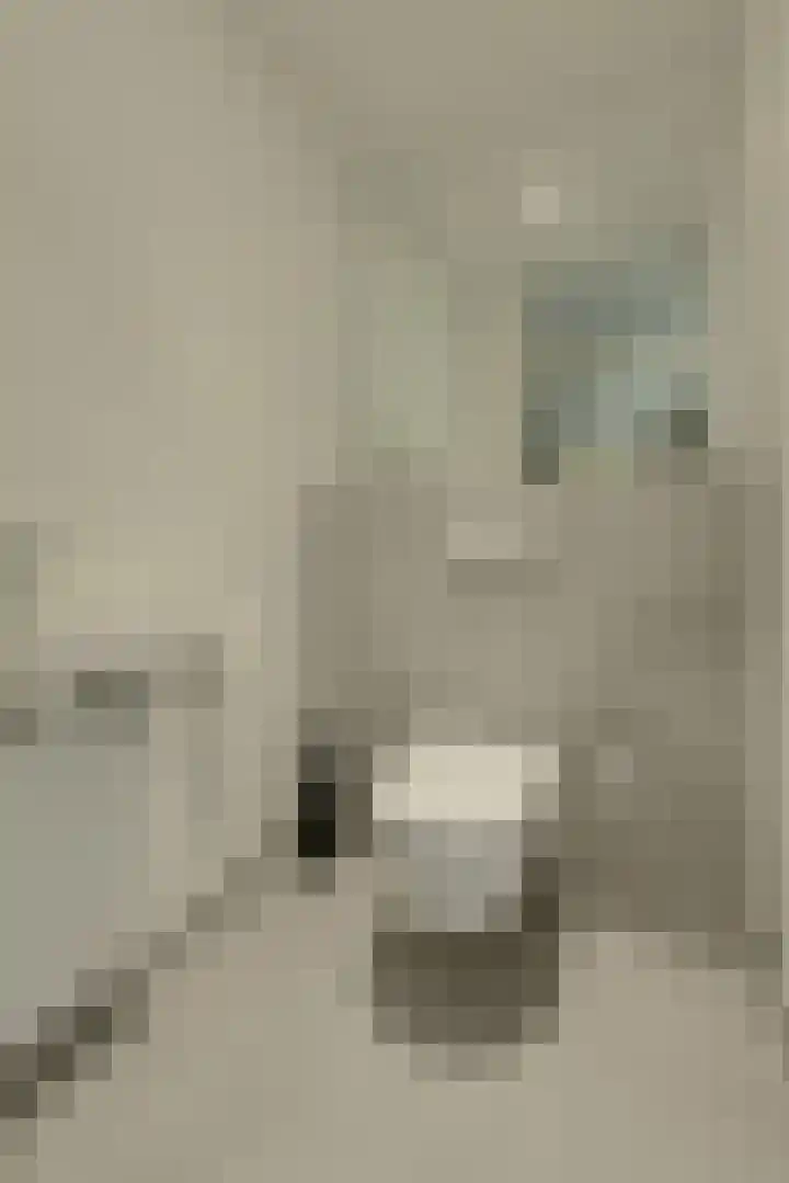 Vlaszak 39 Breda thumbnail 35