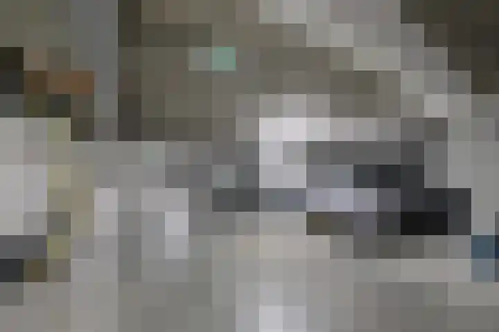 Vlaszak 39 Breda thumbnail 41