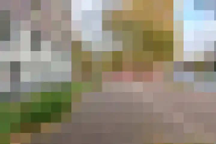Vlaszak 39 Breda thumbnail 44