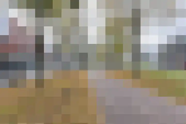 Vlaszak 39 Breda thumbnail 45