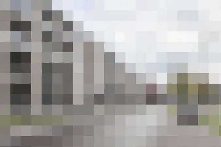 Vlaszak 39 Breda thumbnail 5