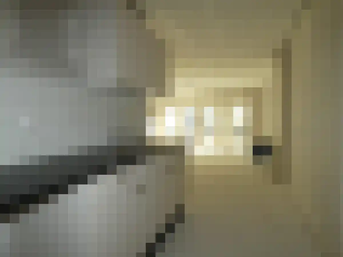 Vlaszak 6 Bergen op Zoom thumbnail 4