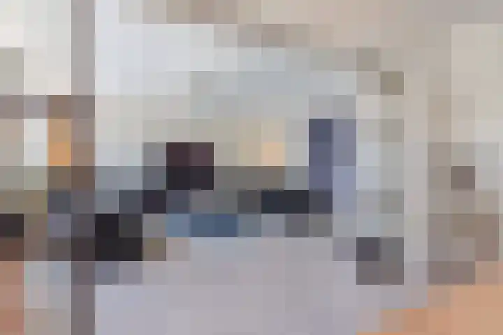 Vlaszak 7 Breda thumbnail 10