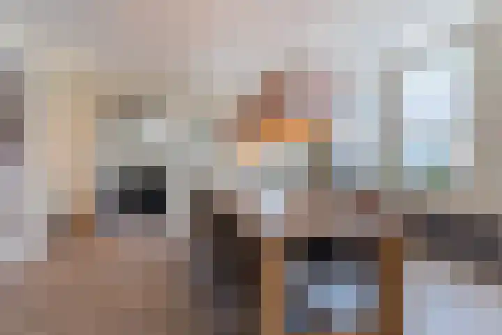 Vlaszak 7 Breda thumbnail 13