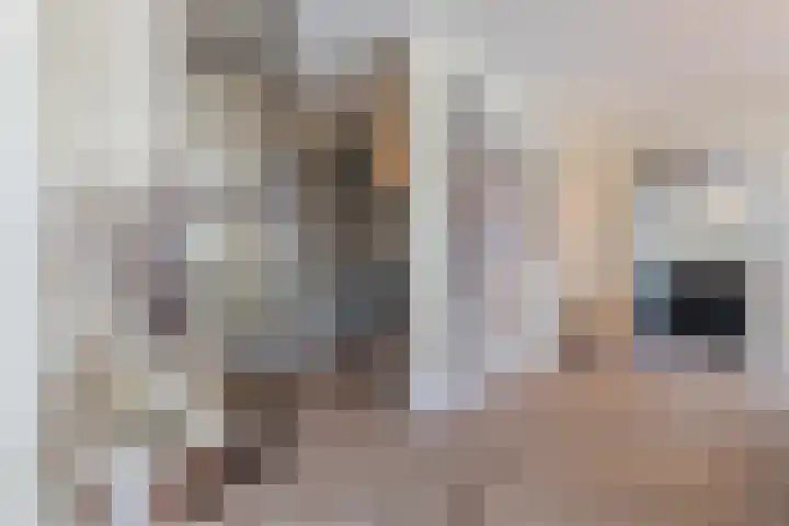 Vlaszak 7 Breda thumbnail 14