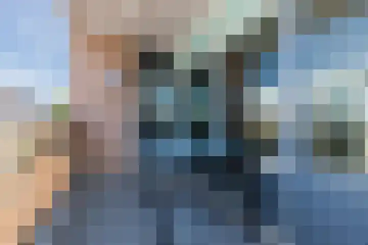 Vlaszak 7 Breda thumbnail 24
