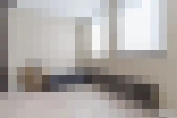 Vlaszak 7 Breda thumbnail 30